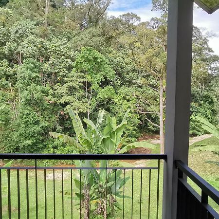 Sementra Hot Spring Nature Resort Gopeng Exterior photo